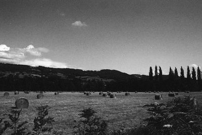 View of sheep grazing on field against sky