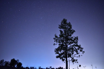 Low angle view of star field against sky