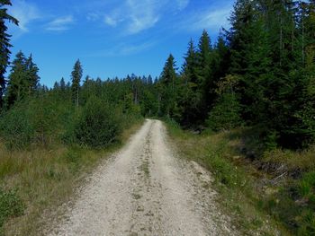 Road amidst trees against sky