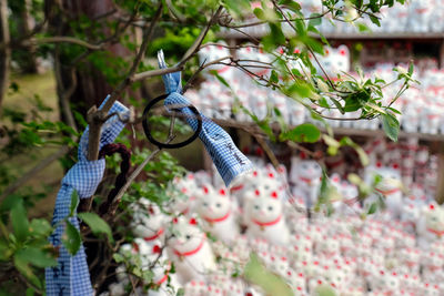 Gotokuji temple tokyos lucky cat temple