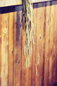 Close-up of wooden door