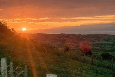 Scenic view of field against sky during sunset