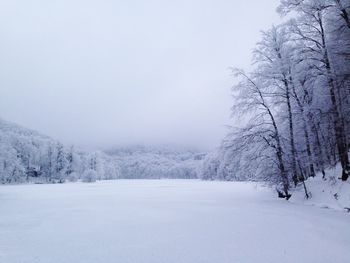 Trees on snow covered field against sky