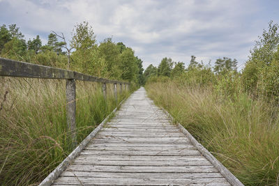 Dirt road along plants and trees against sky