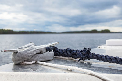 Birds on a lake