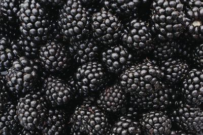 Fresh ripe blackberries. top view and flat lay