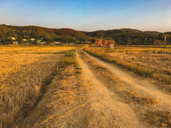 Scenic view of field against clear sky