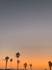 Low angle view of silhouette trees against sky during sunset