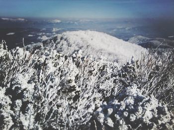 Scenic view of snow covered landscape