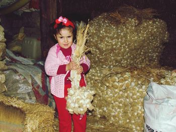 Girl holding bundle of garlic in barn