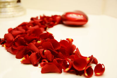 Close-up of red berries