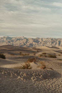 Scenic view of desert against sky