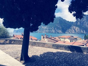 Trees and houses by lake garda 