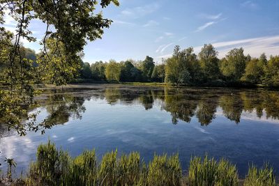 Scenic view of lake in forest against sky