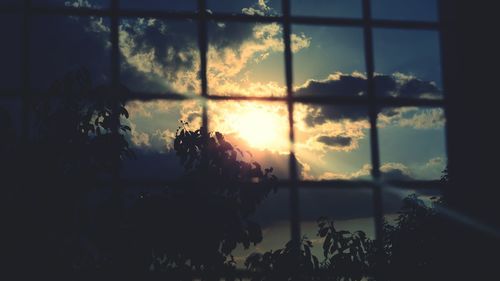 Silhouette trees by plants against sky during sunset seen through window