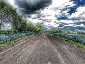 Road amidst agricultural landscape against sky