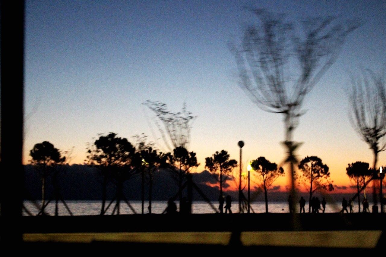 SILHOUETTE OF TREES ON LANDSCAPE AGAINST SKY