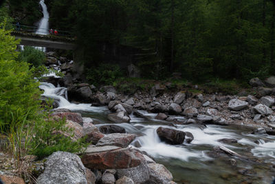 Stream flowing through rocks in forest