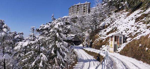 Snow covered trees and buildings against sky