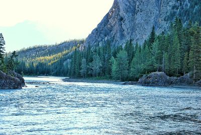 Surface level of river with trees in background