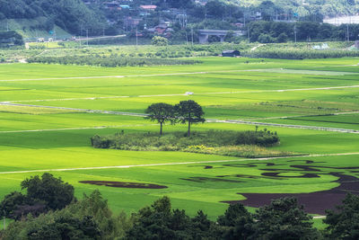 Scenic view of golf course