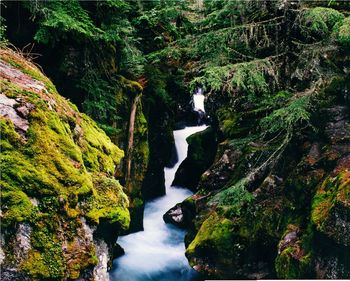 River flowing amidst rocks in forest