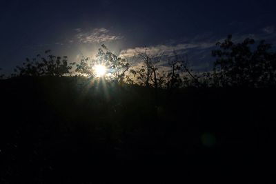 Silhouette trees against sky