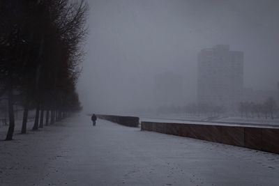 Full length of woman walking on road