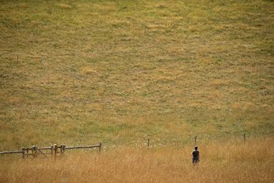 Distant view of two people standing on field