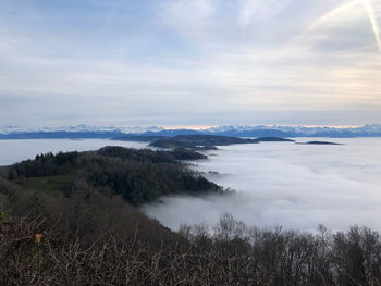 Scenic view of landscape against sky