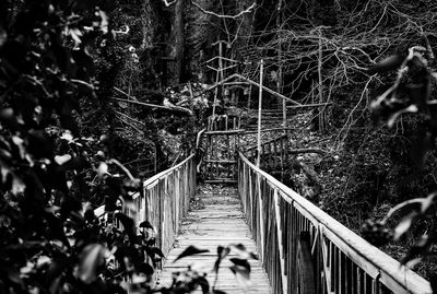 View of footbridge in forest