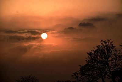 Low angle view of silhouette trees against sky during sunset