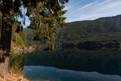 Scenic view of lake and trees against sky