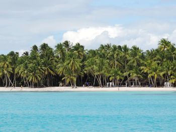 Scenic view of sea by palmtrees against sky