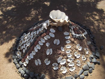 High angle view of pebble on table