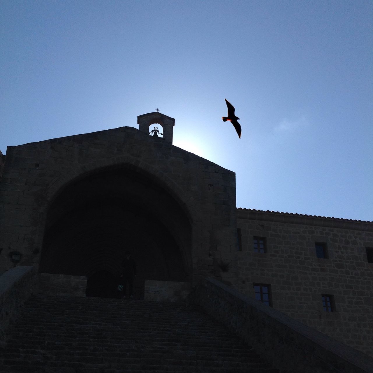 architecture, building exterior, built structure, low angle view, clear sky, flying, bird, blue, sky, copy space, outdoors, day, street light, church, animal themes, one animal, no people, sunlight, arch, religion