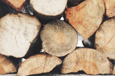 Full frame shot of logs in forest