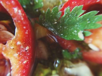 Close-up of red chili peppers