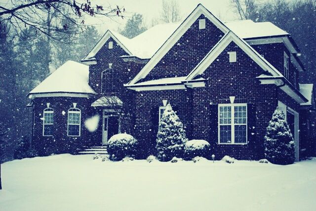 snow, winter, cold temperature, season, building exterior, architecture, built structure, weather, covering, tree, house, covered, bare tree, frozen, white color, religion, residential structure, outdoors, nature, no people