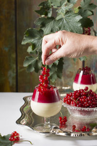 Sweet dessert panna cotta with red currant berries, food photo still life