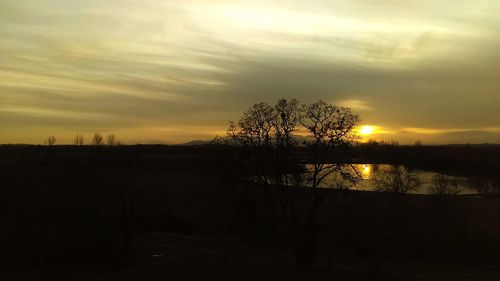 Silhouette trees against sky during sunset