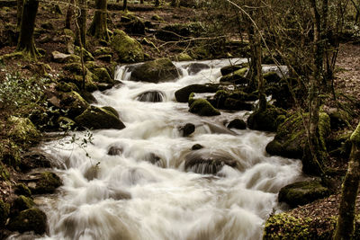 Stream flowing through rocks in forest