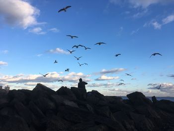 Low angle view of seagulls flying over sea against sky