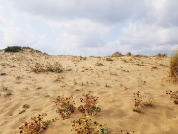 Panoramic view of desert against sky