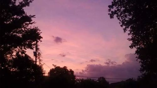 Silhouette of trees against sky at sunset