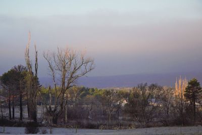 Bare trees on landscape against sky during winter