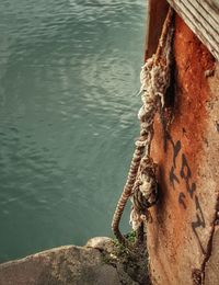 Close-up of crocodile on sea shore