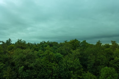 Scenic view of forest against sky