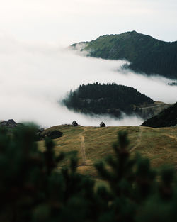 Scenic view of land in fog against sky