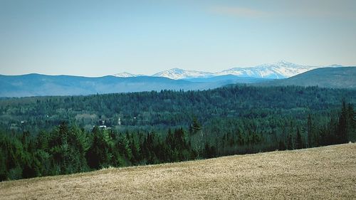 Scenic view of landscape against clear sky